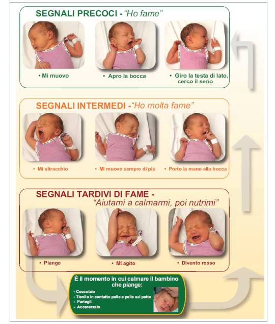 Guarda quali sono i segnali che il neonato manifesta quando vuole essere allattato